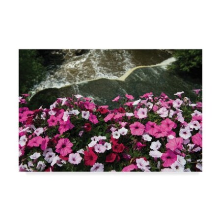 Trademark Fine Art Kurt Shaffer 'Flowers Over The Falls' Canvas Art, 16x24 KS01378-C1624GG